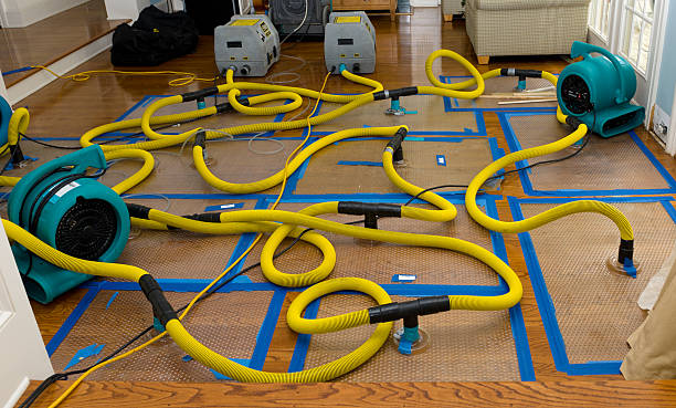 Professional Flood Damage Restoration technician working in Walnut Grove, AL